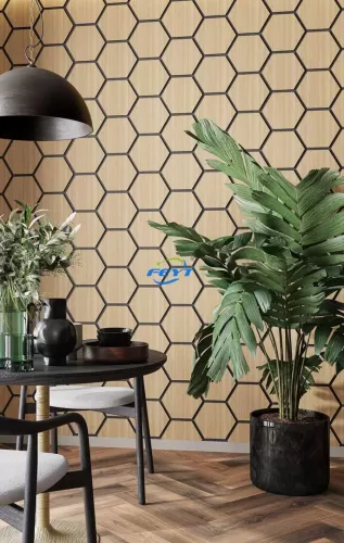 Hexagon Acoustic Panels